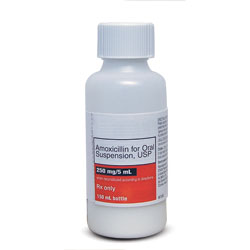 amoxicillin liquid price