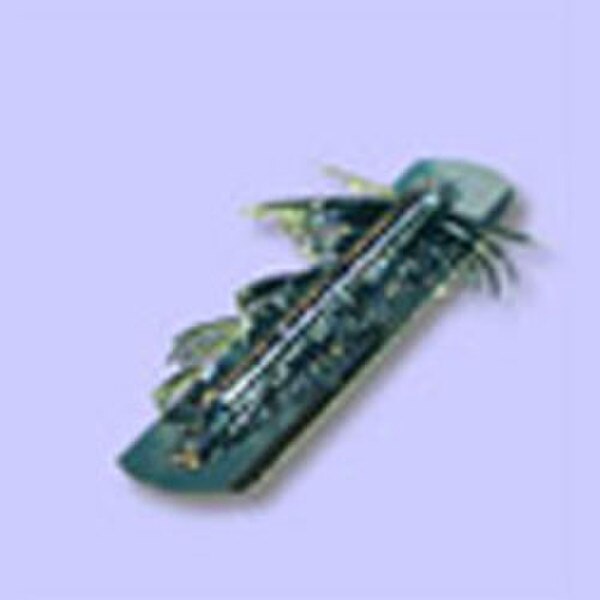 Anchor Products Spring Needle Sterilizing Rack and Needles, For 1900 ...