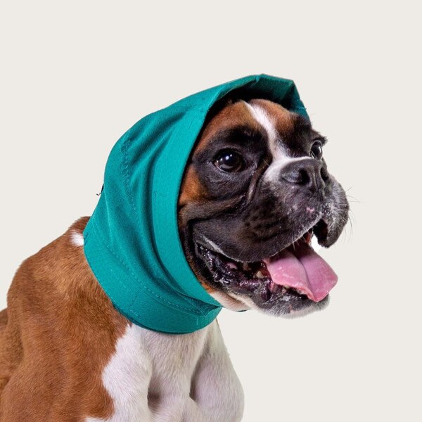 KVP No Flap Ear Wrap, Green Pinpoint Mesh, Large | Med-Vet