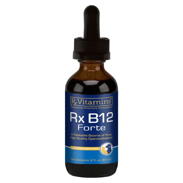b12 forte injection Rx B12 Forte Solution, A Palatable Source of Pure High Quality  Cyanocobalmin, For Dogs and Cats, 2 fl oz (60mL), Each